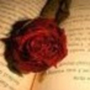 Meet your Posher, Margarita